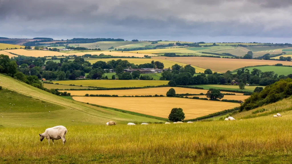 Wiltshire
